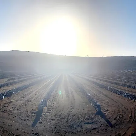 Villa Medinilla With Private Pool In Conil